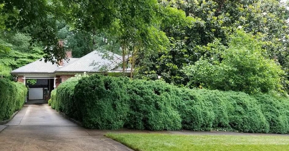 1907 georgia avenue winston.jpg